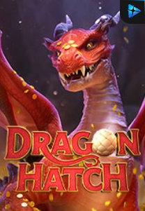 Bocoran RTP Dragon Hatch di Zoom555