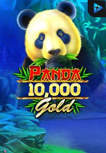 Bocoran RTP Panda Gold 10.000 di Zoom555