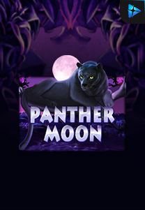 Bocoran RTP Panther Moon di Zoom555