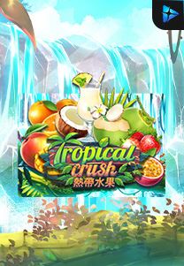 Bocoran RTP Tropical Crush di Zoom555