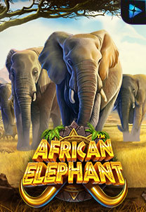 Bocoran RTP African Elephant di Zoom555