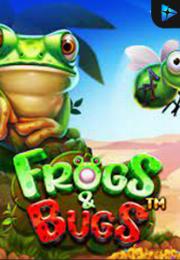 Bocoran RTP Frogs & Bugs di Zoom555