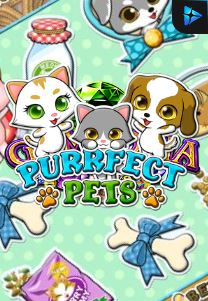 Bocoran RTP PURRFECT PETS di Zoom555