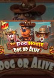 Bocoran RTP The Dog House – Dog or Alive di Zoom555