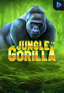 Bocoran RTP Jungle Gorilla di Zoom555