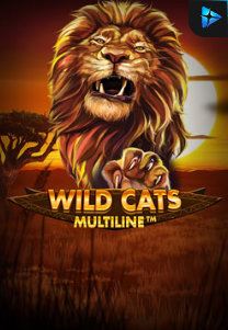 Bocoran RTP Wild Cat Multiline di Zoom555