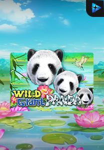 Bocoran RTP Wild Giant Panda di Zoom555