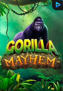 Bocoran RTP Gorilla Mayhem di Zoom555