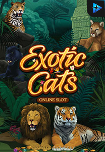 Bocoran RTP exoticcats di Zoom555