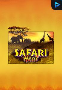 Bocoran RTP Safari Heat di Zoom555